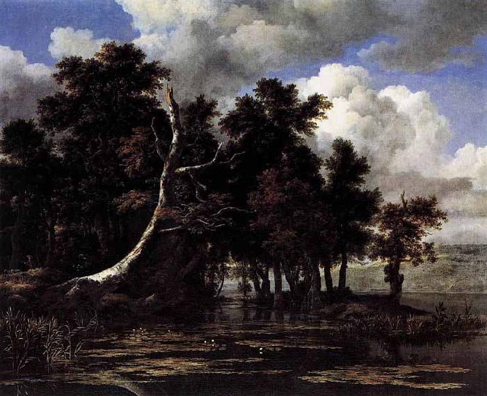 Jacob Isaacksz. van Ruisdael Oaks by a Lake with Waterlilies